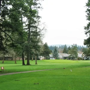 king-city-public-golf-course